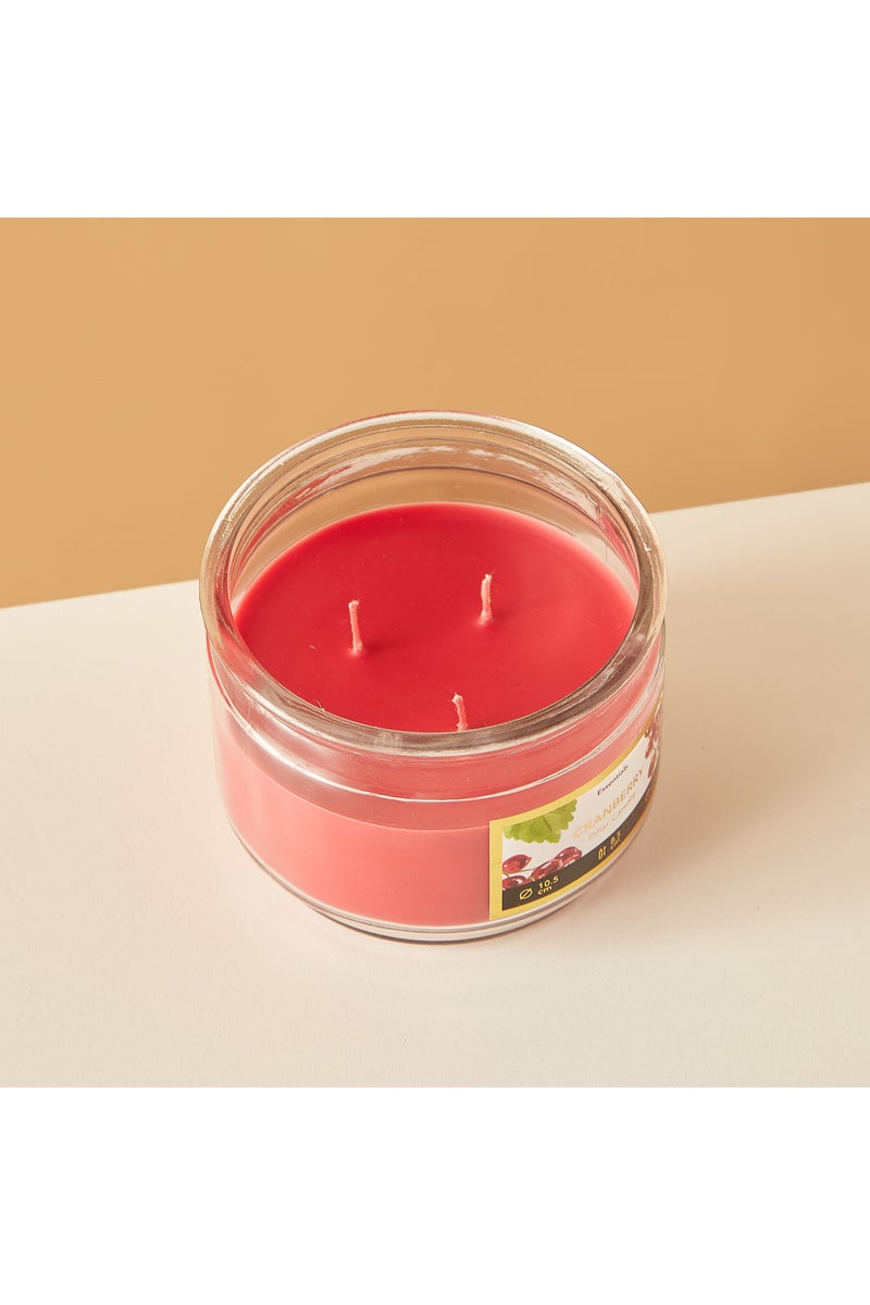 LIFESTYLE شمعة زجاجية معطرة بالتوت البري 3 فتائل - 18 ساعة - Image 3